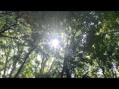 Fornitore di alimentazione per altoparlanti Bluetooth 192WH batteria al litio ferro fosfato